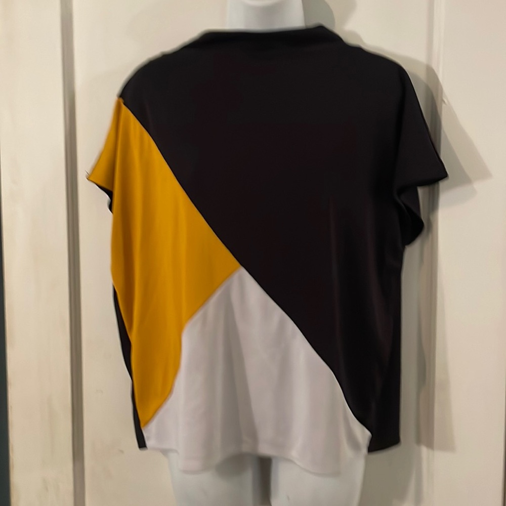 Ladies Colorblock top Alfani
